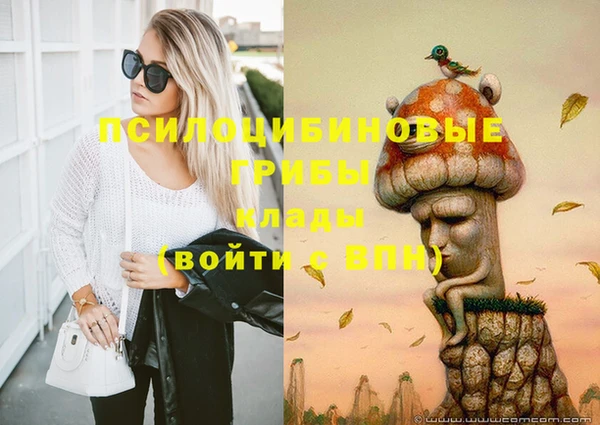 apvp Костерёво