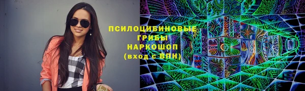 apvp Костерёво